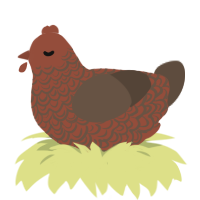 (unnamed), a russet and bark chicken with a double-lace pattern
