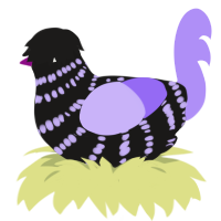 (unnamed), a sable and lilac chicken with a bar pattern