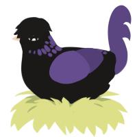 Hex, a sable and overcast chicken with a neck-speckle pattern