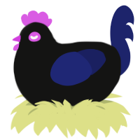 Neon, a black and navy chicken