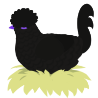 Ovis, a sable and black chicken with a lace pattern