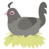 pidge, a ash and grey chicken with a head pattern