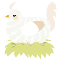 Angel, a white and cream chicken with a bar pattern