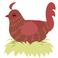 Miss Swiss, a russet and red chicken with a bar pattern