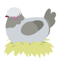 A mist and ash chicken with a head pattern
