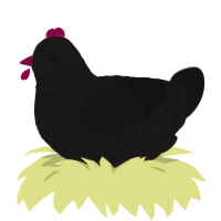 Bloody Talons, a sable and black chicken with a lace pattern