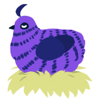 A blurple and navy chicken with a bar pattern