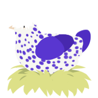 A white and indigo chicken with a speckle pattern