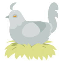 Adonis, a silver chicken with a head pattern