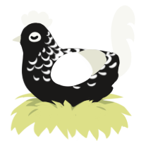 (unnamed), a sable and white chicken with a half-lace pattern