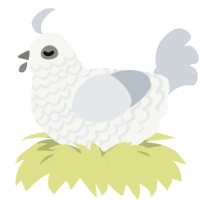 A white and mist chicken with a lace pattern