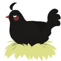 Soot, a sable chicken with a lace pattern