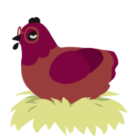 A red and maroon chicken with a head pattern