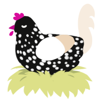 Perfection, a black and cream chicken with a speckle pattern