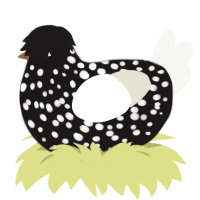 spot boy, a sable and white chicken with a speckle pattern