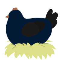 A tumblr and sable chicken