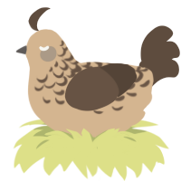 Flat White, a beige and bark chicken with a half-lace pattern