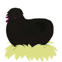 A sable and black chicken with a lace pattern