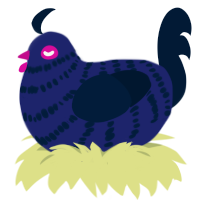 (unnamed), a navy and tumblr chicken with a bar pattern