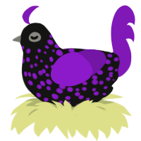 A black and violet chicken with a speckle pattern