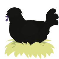 A black chicken with a lace pattern