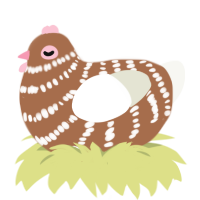 Cake Pop, a brown and white chicken with a bar pattern