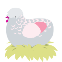 A mist and rose chicken with a half-lace pattern