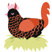 Devis, a black and vermilion chicken with a lace pattern