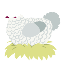Richard, a white and silver chicken with a lace pattern