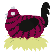 Cranberry Sauce, a maroon and black chicken with a bar pattern