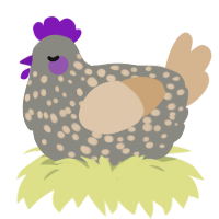 A ash and beige chicken with a speckle pattern