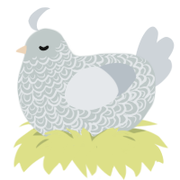 Air, a silver and mist chicken with a double-lace pattern