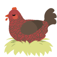 A red and bark chicken with a double-lace pattern