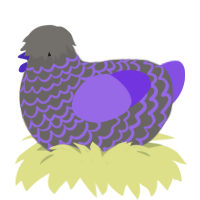 A grey and blurple chicken with a lace pattern