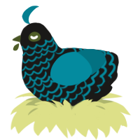 A sable and sea chicken with a lace pattern
