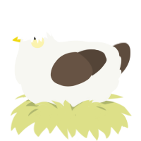 A white and bark chicken