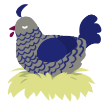 (unnamed), a ash and navy chicken with a lace pattern