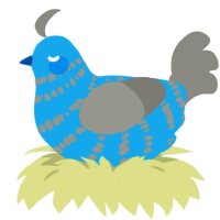 A sky and ash chicken with a bar pattern
