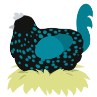 A black and sea chicken with a speckle pattern