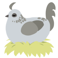 A mist and ash chicken with a neck-speckle pattern