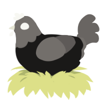 A sable and grey chicken with a head pattern