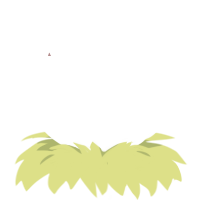 Noah, a white chicken with a half-lace pattern