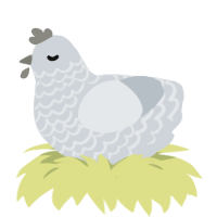 Ashes to Ashes, a mist chicken with a lace pattern