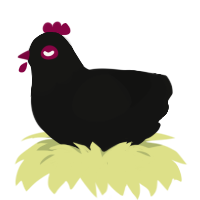A black chicken with a head pattern