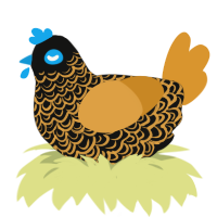 A black and orange chicken with a double-lace pattern