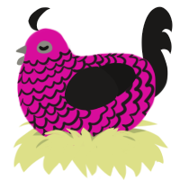 Vices, a fuchsia and sable chicken with a lace pattern