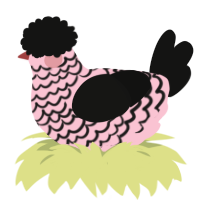 A rose and black chicken with a lace pattern