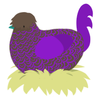 A bark and violet chicken with a double-lace pattern