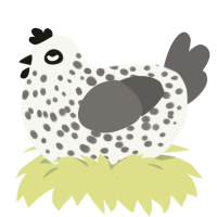 Stony Hen, a white and grey chicken with a speckle pattern