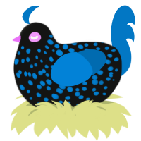 A black and sapphire chicken with a speckle pattern